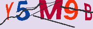キャプチャ(CAPTCHA)認証コード