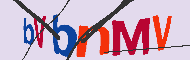 キャプチャ(CAPTCHA)認証コード