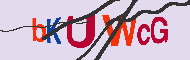 キャプチャ(CAPTCHA)認証コード