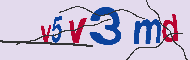キャプチャ(CAPTCHA)認証コード