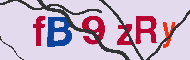 キャプチャ(CAPTCHA)認証コード