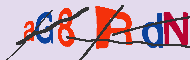 キャプチャ(CAPTCHA)認証コード