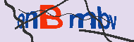 キャプチャ(CAPTCHA)認証コード