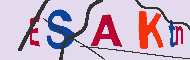 キャプチャ(CAPTCHA)認証コード
