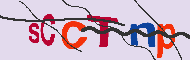 キャプチャ(CAPTCHA)認証コード