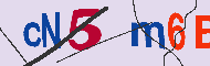 キャプチャ(CAPTCHA)認証コード