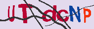 キャプチャ(CAPTCHA)認証コード
