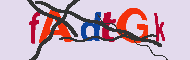 キャプチャ(CAPTCHA)認証コード