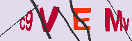キャプチャ(CAPTCHA)認証コード