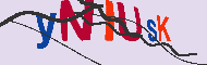 キャプチャ(CAPTCHA)認証コード