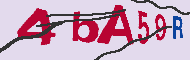 キャプチャ(CAPTCHA)認証コード