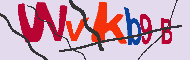 キャプチャ(CAPTCHA)認証コード