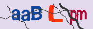 キャプチャ(CAPTCHA)認証コード