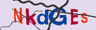 キャプチャ(CAPTCHA)認証コード