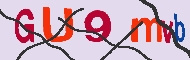 キャプチャ(CAPTCHA)認証コード