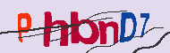 キャプチャ(CAPTCHA)認証コード