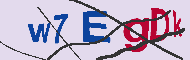 キャプチャ(CAPTCHA)認証コード