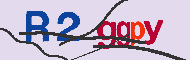 キャプチャ(CAPTCHA)認証コード