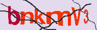 キャプチャ(CAPTCHA)認証コード