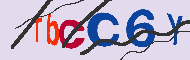 キャプチャ(CAPTCHA)認証コード