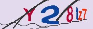 キャプチャ(CAPTCHA)認証コード