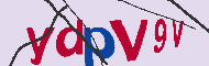 キャプチャ(CAPTCHA)認証コード
