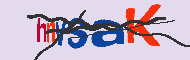 キャプチャ(CAPTCHA)認証コード