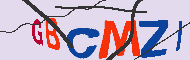 キャプチャ(CAPTCHA)認証コード