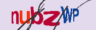 キャプチャ(CAPTCHA)認証コード