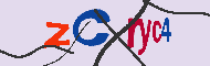 キャプチャ(CAPTCHA)認証コード