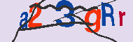 キャプチャ(CAPTCHA)認証コード