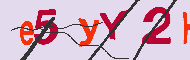 キャプチャ(CAPTCHA)認証コード