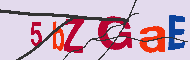 キャプチャ(CAPTCHA)認証コード
