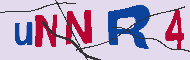 キャプチャ(CAPTCHA)認証コード