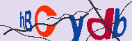 キャプチャ(CAPTCHA)認証コード