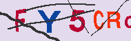 キャプチャ(CAPTCHA)認証コード