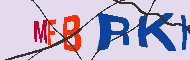 キャプチャ(CAPTCHA)認証コード