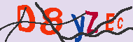 キャプチャ(CAPTCHA)認証コード