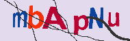 キャプチャ(CAPTCHA)認証コード