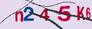 キャプチャ(CAPTCHA)認証コード