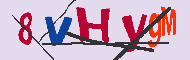 キャプチャ(CAPTCHA)認証コード