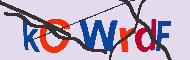 キャプチャ(CAPTCHA)認証コード