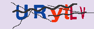 キャプチャ(CAPTCHA)認証コード