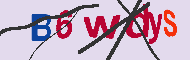 キャプチャ(CAPTCHA)認証コード