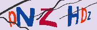 キャプチャ(CAPTCHA)認証コード