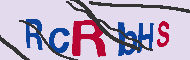 キャプチャ(CAPTCHA)認証コード