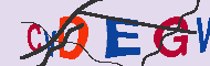 キャプチャ(CAPTCHA)認証コード