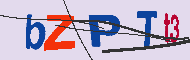 キャプチャ(CAPTCHA)認証コード