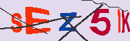 キャプチャ(CAPTCHA)認証コード