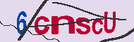 キャプチャ(CAPTCHA)認証コード
